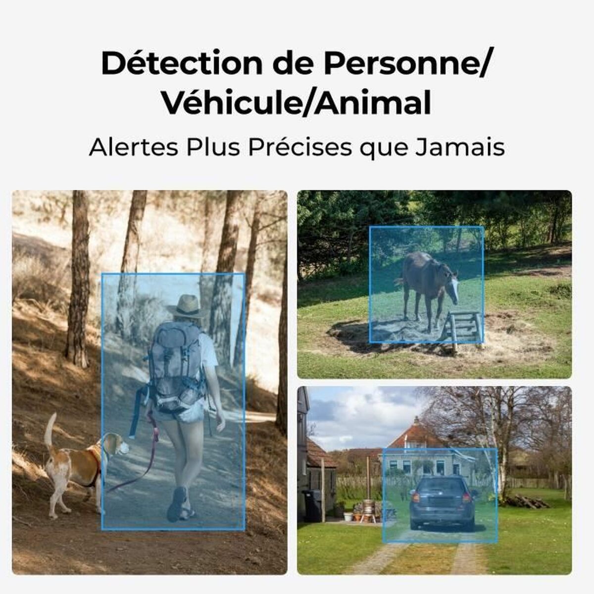 Reolink Surveillance Camcorder Reolink