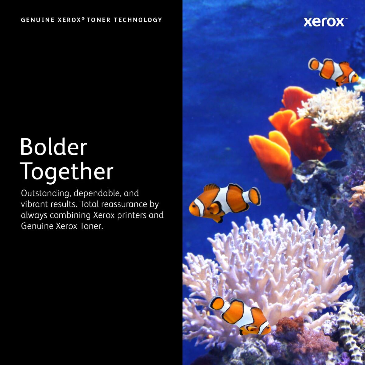 V1H69A0CE4A98F83A3602F93AEDFF92119FRP4