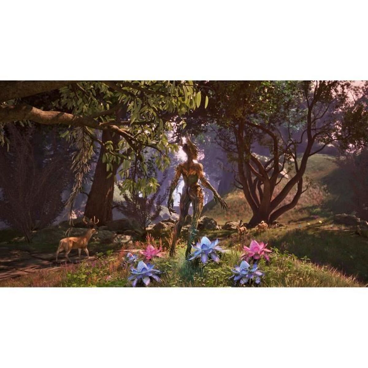 Microsoft Playstation 5 Video Game Microsoft Elder Scrolls Iv Oblivion