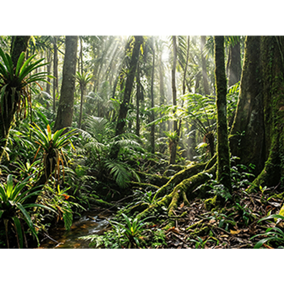 Hp Laptop Hp D4Pg1At#Abe 14" 32 Gb Ram 512 Gb Ssd