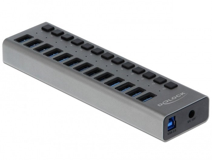 Delock Hub Superspeed USB 3.0 With 13 Ports + Switch