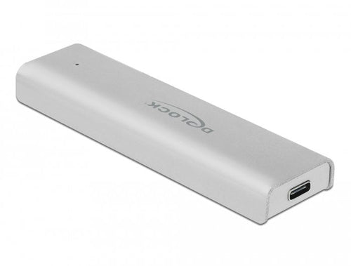 Delock External Enclosure SSD M.2 NVMe PCIE SSD USB Type-c Female — image 1