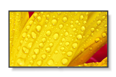 Nec Multisync M551-2 Design Quiosco 127CM (50) LED 4K Ultra HD Black Processor Incorporado — image 1