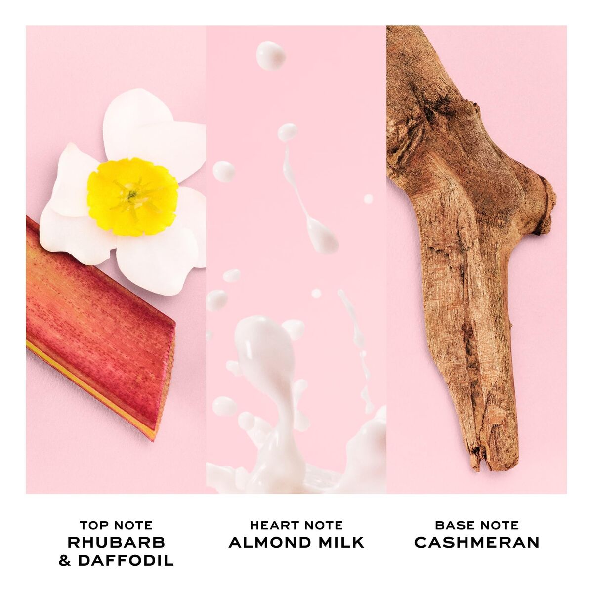 V2HB9D9FD749F0A9281613101FC5DC554B0R7786136P3