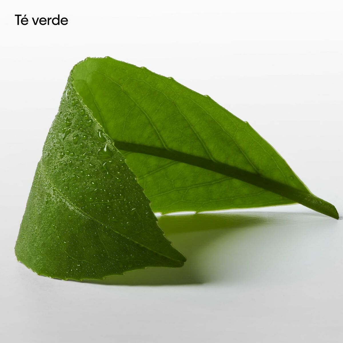 V5HD912A6E3A86270425A4FABEA8AC92A2FR5672453P7