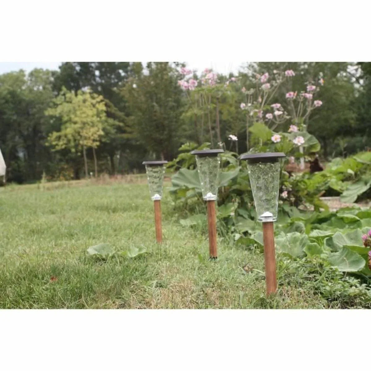 V6H08E88FCA7DFEFDA800F2A01142DD71CFR5567698P3