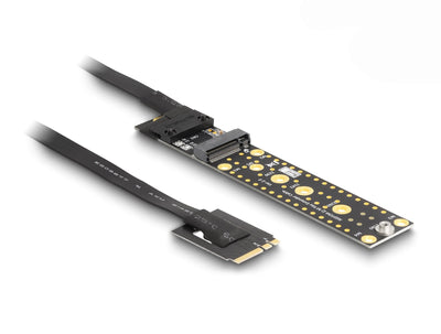 Delock 64215 Card Expansion NVMe M.2 Clave a + And Male a Clave M Slot With Cable 20CM — image 1