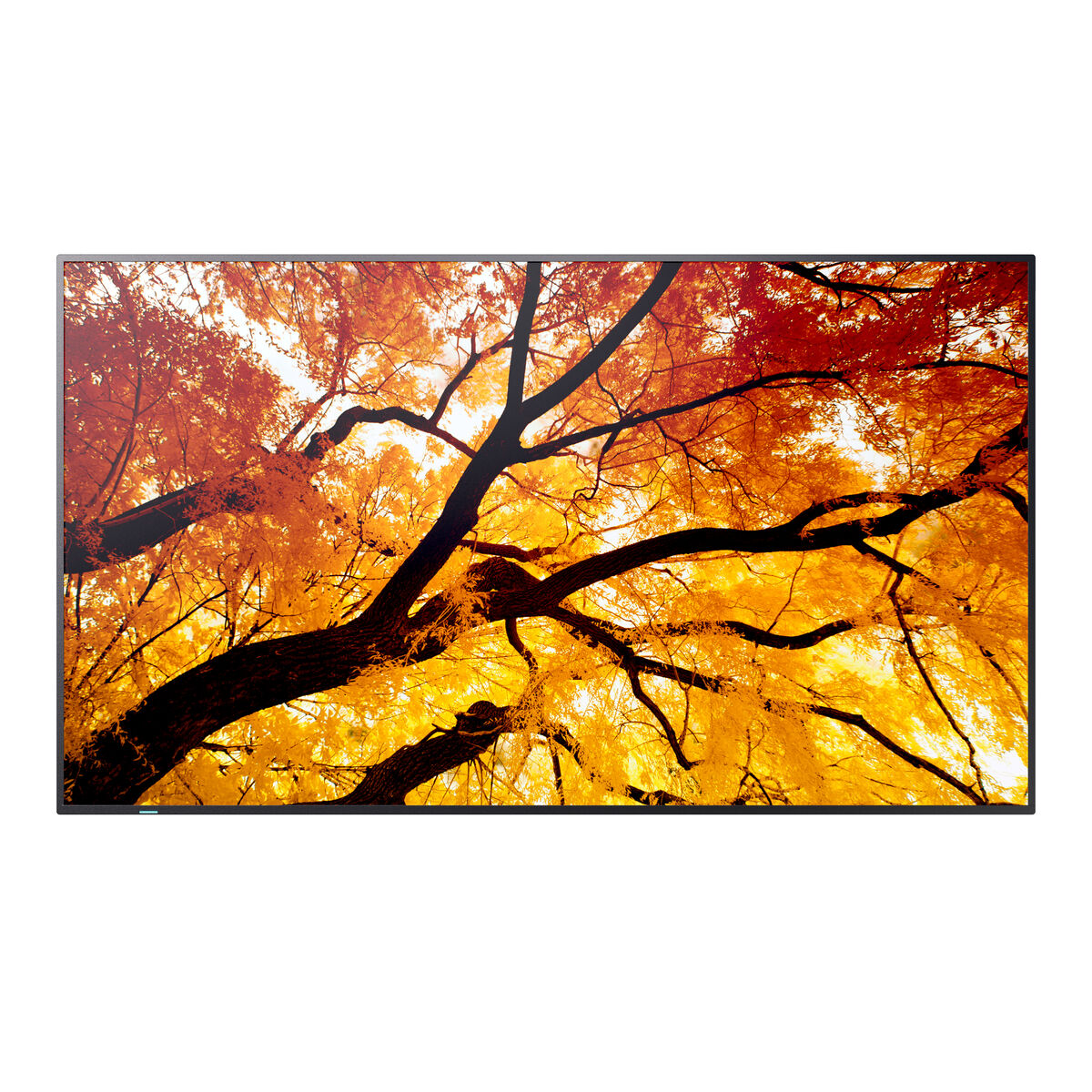 Sharp Videowall Monitor Sharp 60006052 Full Hd 32"