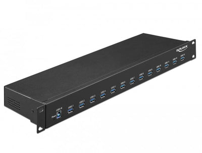 Delock Hub Industrial 19 13 Ports USB 3.1 Gen 1 Tipo-a — image 1