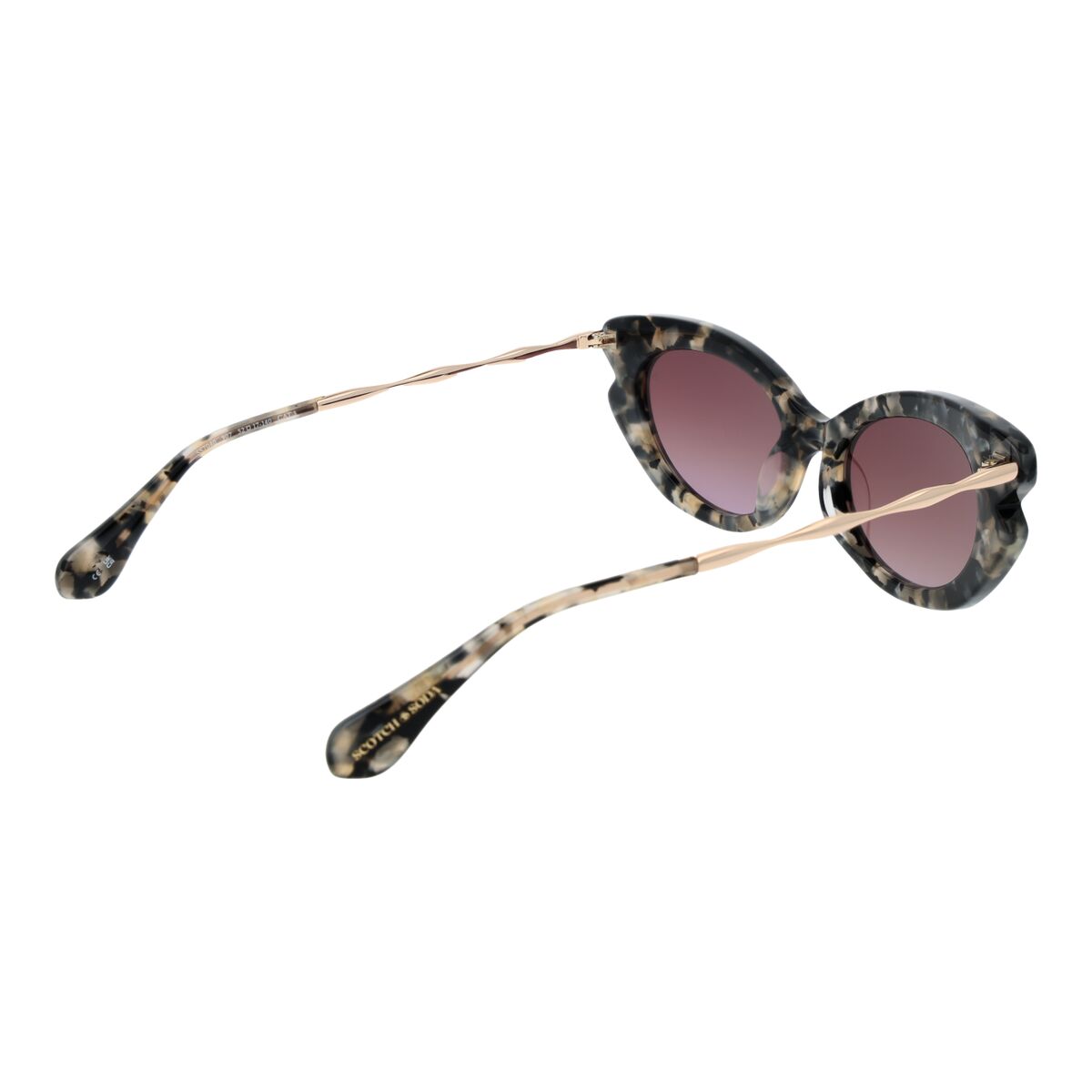 Scotch & Soda Ladies' Sunglasses Scotch & Soda Ss7040 52907