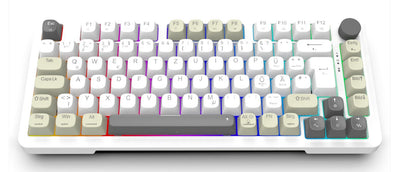 Inca Gaming Keyboard RGB/Grayswitch/USB-C/Bt 2.00M White — image 1