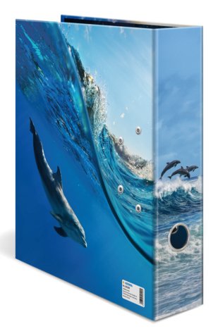 Herma Ring Binder A4 Cartón Delfin