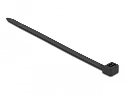 Delock 18991 Presilla Brida Type Ladder Nylon Black 10 Pieces — image 1