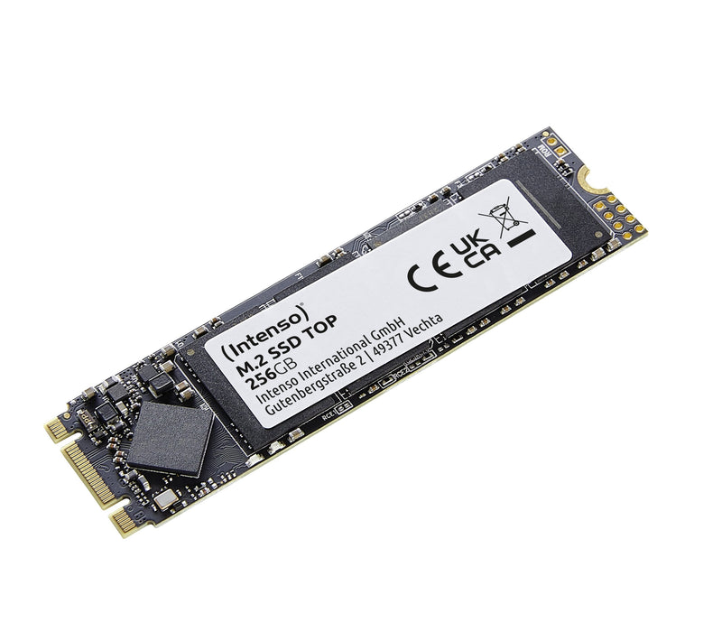 Intenso Drive SSD M.2 2280 256GB R520/W500 MB/S