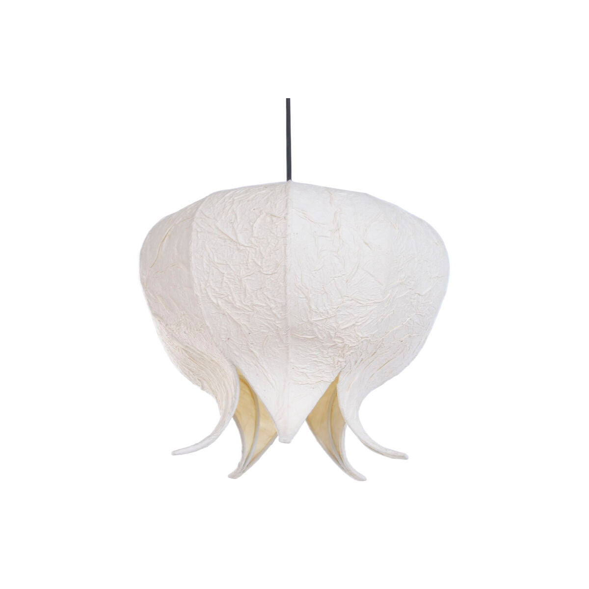 V2H57A152288DC6932045047C0B8A24DBA4R7811076P6