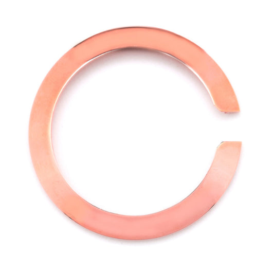 Glam Rock Watch Bezel Glam Rock Gc2203Gr