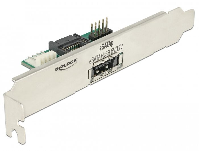 Delock Stand Slot 1 X Esatapd 5V / 12V