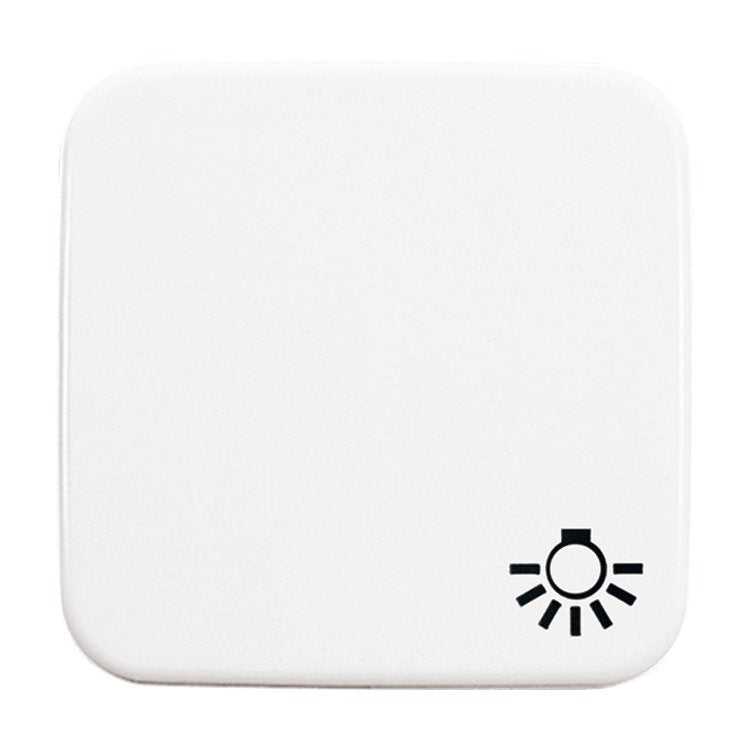 Busch Jaeger 2520 LI-214, Rocker, White IP20, 54MM, 54MM