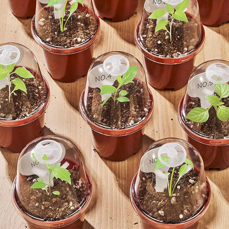 Plastic Nursery Tray With Drainage Holes For Seedling Propagation