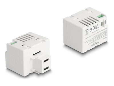 Delock 41479MÓDULO Keystone With 2 Ports Charging USB Type-c™ Pd 20W White — image 1