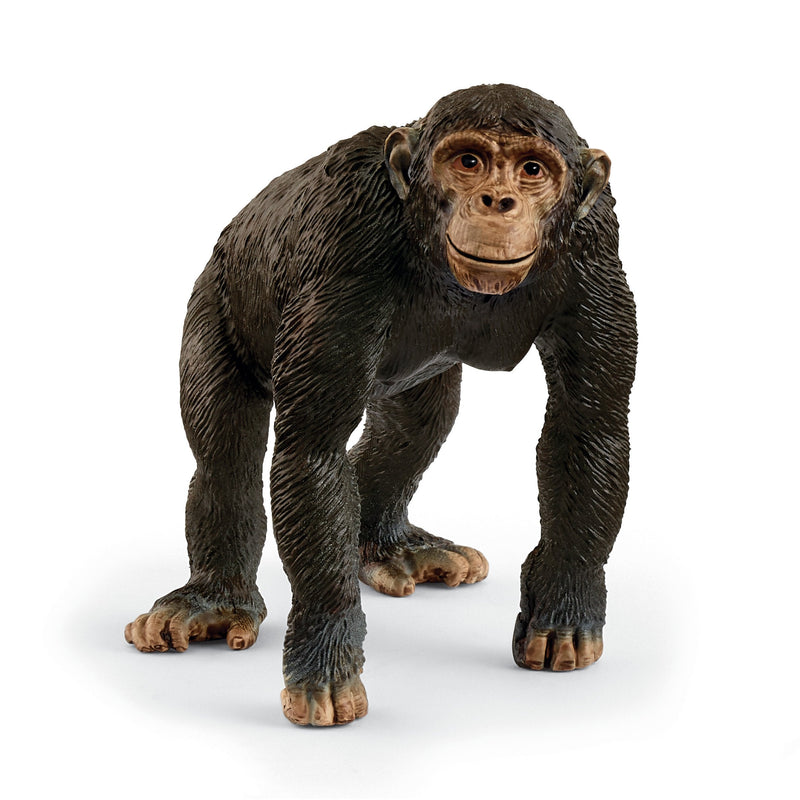 Schleich Figure Wild Life Chimpancé 14883